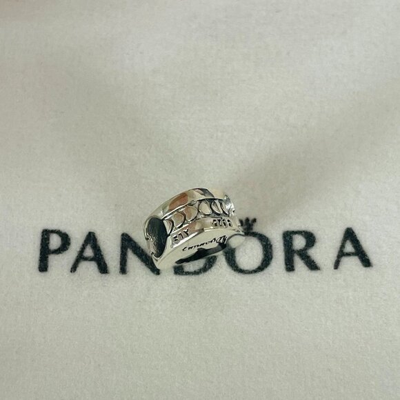 Pandora Bison Wyoming State Heart Charm Travel Pendant - Picture 3 of 3